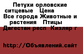 Петухи орловские ситцевые › Цена ­ 1 000 - Все города Животные и растения » Птицы   . Дагестан респ.,Кизляр г.